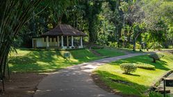Sekitar Kota! 5 Destinasi Wisata Pangandaran untuk Liburan Keluarga Hemat dan Populer 2025