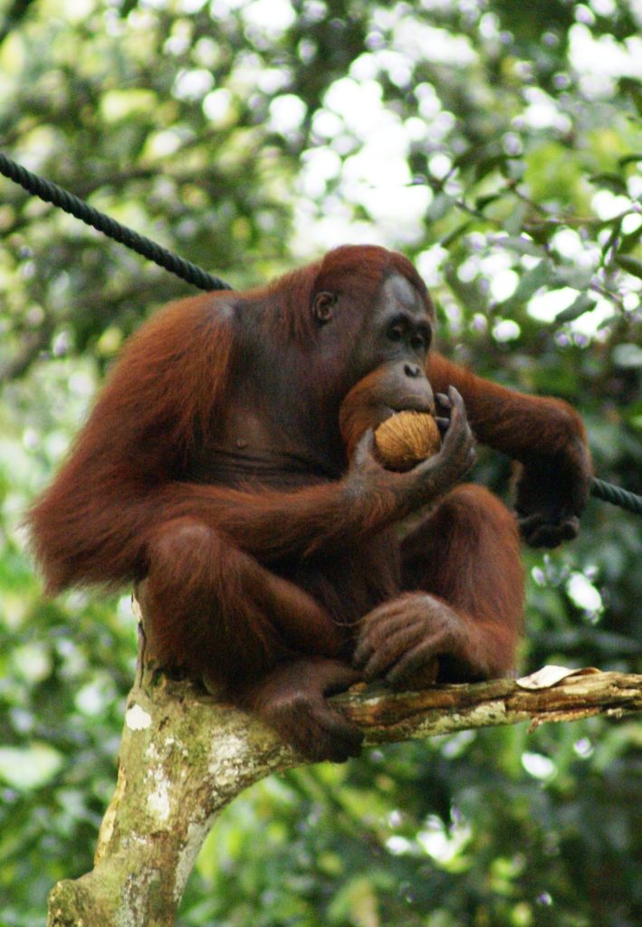 Orang yang Bisa Menebak Alur Cerita Film dengan Benar Cenderung Punya 7 Sisi Unik Ini Menurut Psikologi, Apa Saja?